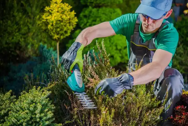 landscaping services Corwin